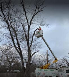 Texas Tree Service
