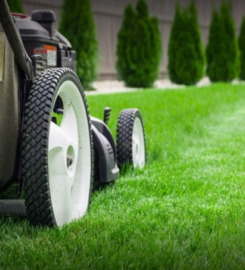Lopez Cares Landscaping & Maintenance