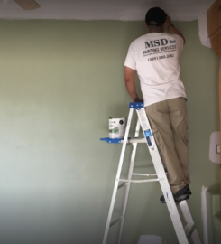 Servicios de pintura de MSD