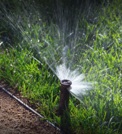 Lopez Cares Landscaping & Maintenance