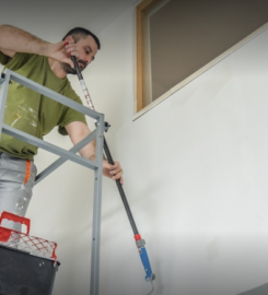 Pintura Ramírez, LLC