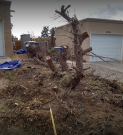 Original Construction & Landscaping LLC