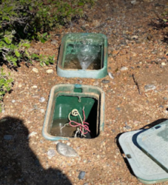 S.O.S Lawn Care Plus