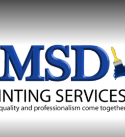 Servicios de pintura de MSD