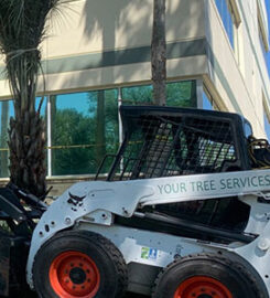 Your Tree Services, LLC