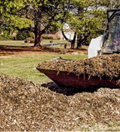 Your Tree Services, LLC