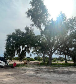 Your Tree Services, LLC