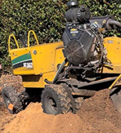 Your Tree Services, LLC