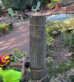 Your Tree Services, LLC