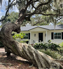 Your Tree Services, LLC