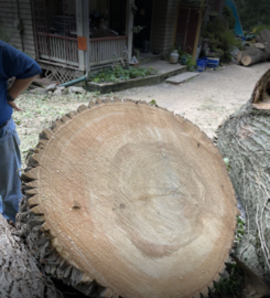 J&L Budget Tree Service, LLC