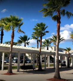 Nunez Lawn Care & Landscaping Inc