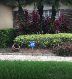 Flamingo Landscapes Corp.