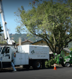 Terry’s Tree Service