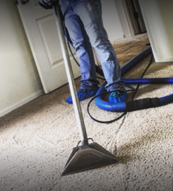 The King Carpet Cleaning