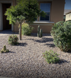 Amador’s landscaping services