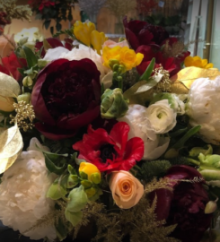 Ariston Floral Boutique