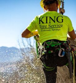 King Tree Service