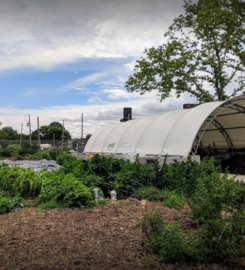 Red Hook Farms – Columbia Street Farm