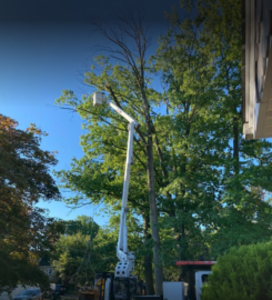 J&L Budget Tree Service, LLC