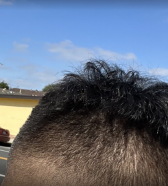 California Barber Shop