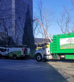 California Green Tree Care