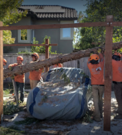 Terry’s Tree Service