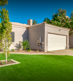 Happy Tree Landscaping