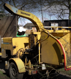 Tree Service Surprise