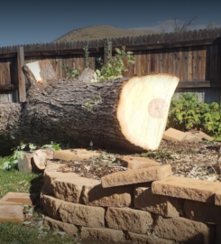 Bear Creek Tree Service