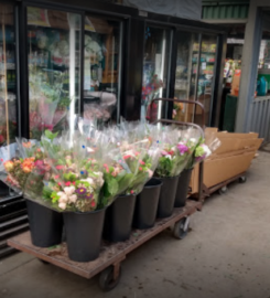 Floristería, tienda de regalos y centro de jardinería de Lafayette