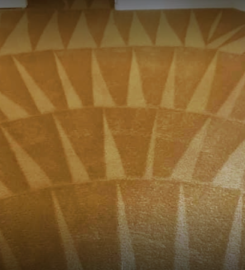 Arizona Carpet Cleaning