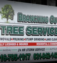 Tree Service & Removal Mineola