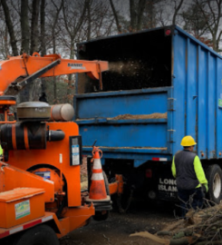 Brooklyn Tree Service