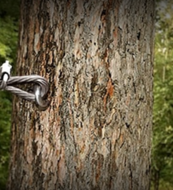 Tarzan Tree Removal, LLC