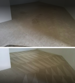 Caliber Carpet Cleaning