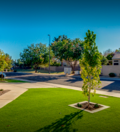 Happy Tree Landscaping