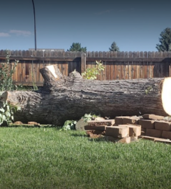 Bear Creek Tree Service