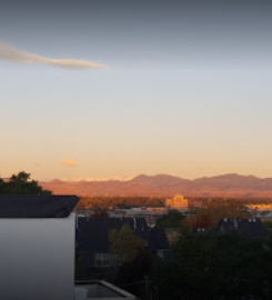 Palace Construction Co., Inc.