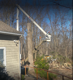 J&L Budget Tree Service, LLC