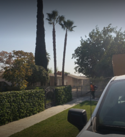Ultimate Landscape and Tree Service