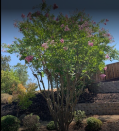 Terry’s Tree Service