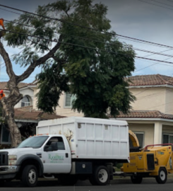 Ramirez Tree Service