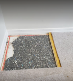 Caliber Carpet Cleaning