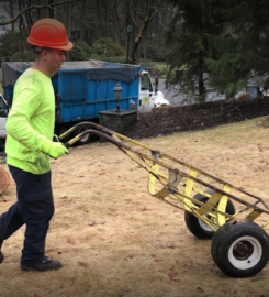 Brooklyn Tree Service