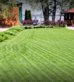 Arnoldo’s Tree Service