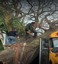 Tarzan Tree Removal, LLC