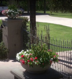 Divine Design Landscaping