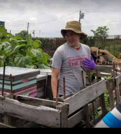 Red Hook Farms – Columbia Street Farm