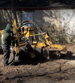 J&L Budget Tree Service, LLC